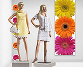 Gestaltung von Plakate für Schaufenster für Prodeco 